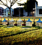 在线短信轰炸工具